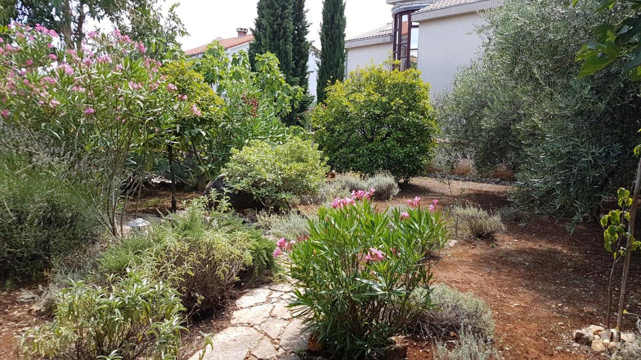 Apartments Villa Temer Пинезичи Экстерьер фото